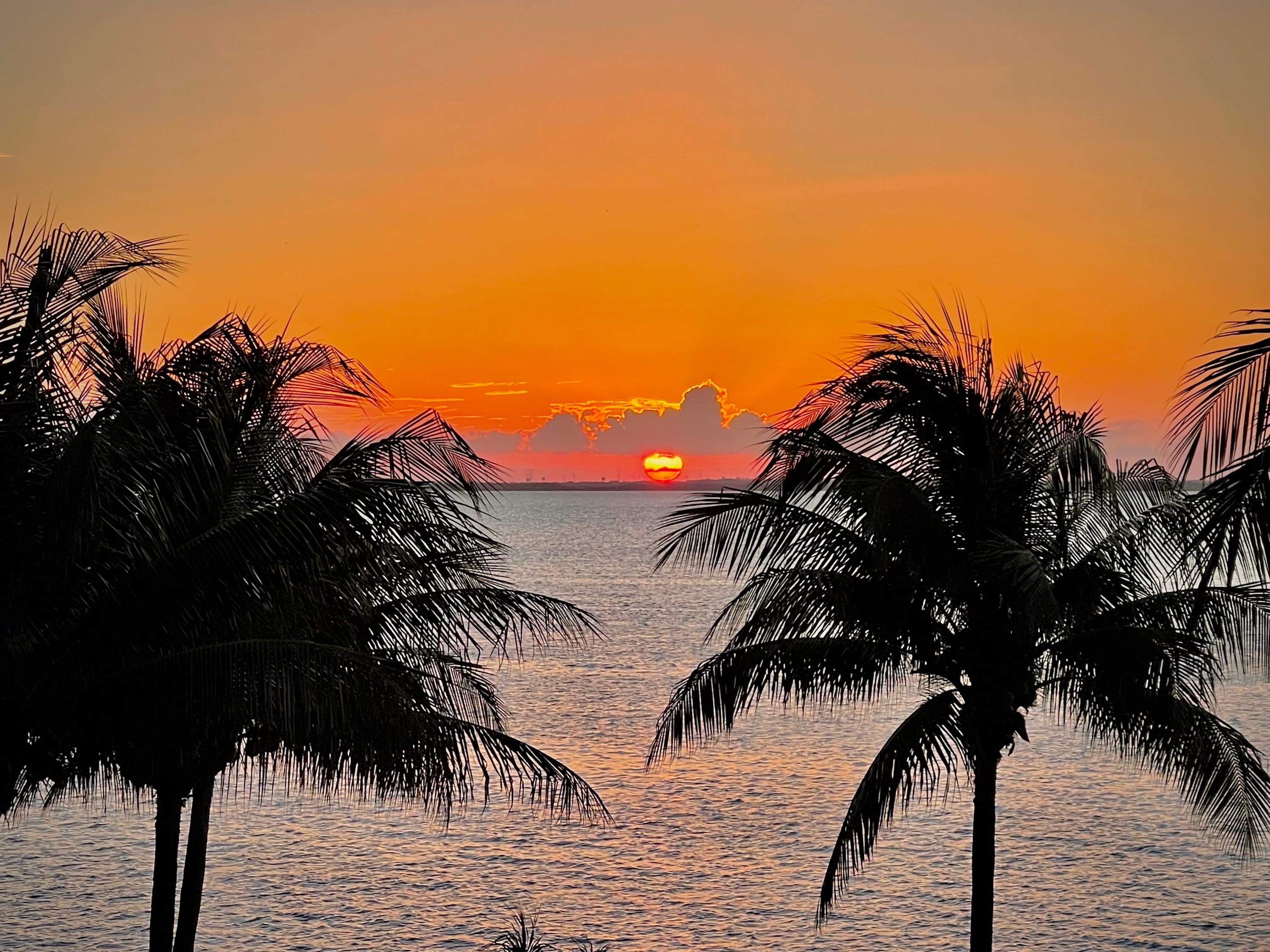 Two palm tree silhouettes framing a tropical sunset over the ocean.